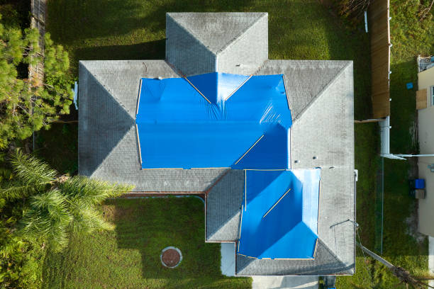 Best Asphalt Shingles Roofing  in Carrizo Hill, TX