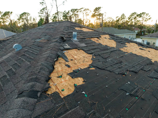 EPDM Roofing in Carrizo Hill, TX