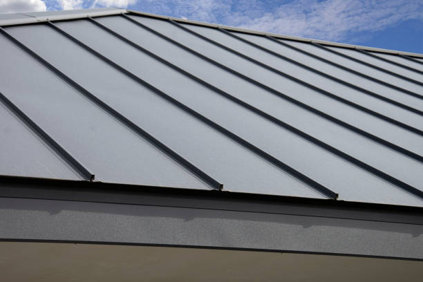 Best Roof Installation  in Carrizo Hill, TX